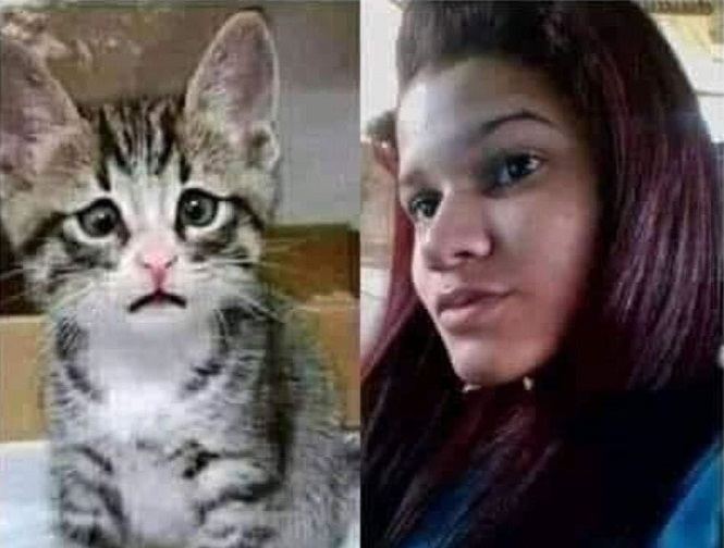 ماليزيا : السجن 3 سنوات لقاتلة القطة