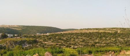 حالة الطقس لهذا اليوم 