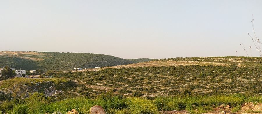 حالة الطقس لهذا اليوم 