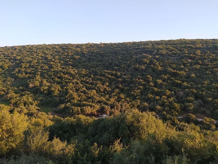 حالة الطقس لهذا اليوم 