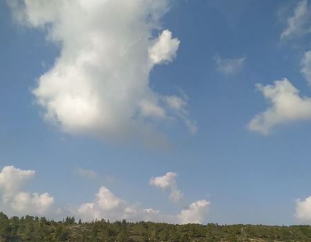 حالة الطقس لهذا اليوم ... حار وجاف