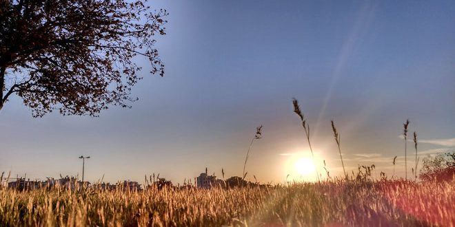 حالة الطقس لهذا اليوم 