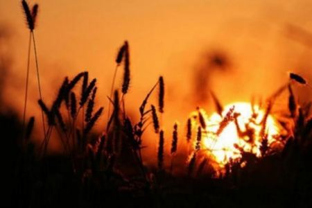 حالة الطقس لهذا اليوم 