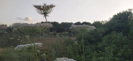 حالة الطقس لهذا اليوم 