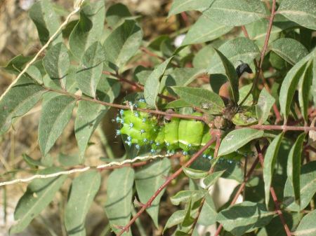 حالة الطقس لهذا اليوم 
