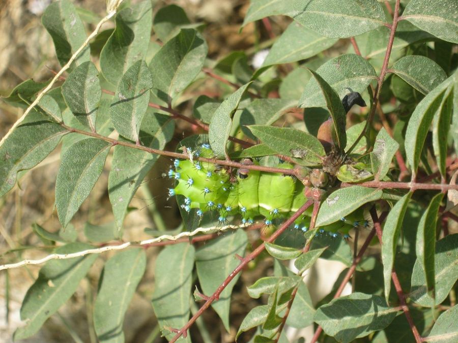 حالة الطقس لهذا اليوم 