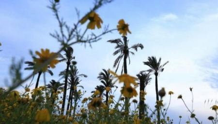 حالة الطقس لهذا اليوم 