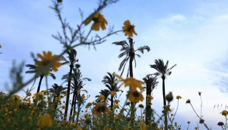 حالة الطقس لهذا اليوم 