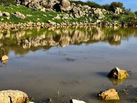 حالة الطقس لهذا اليوم