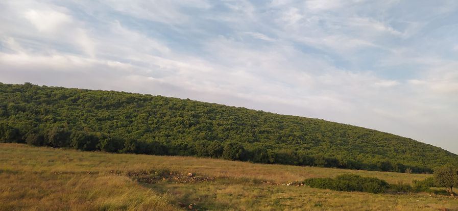 حالة الطقس لهذا اليوم