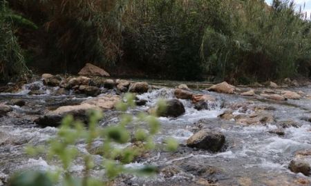 سلطات الاحتلال تعلن عن "عين العوجا" محمية طبيعية
