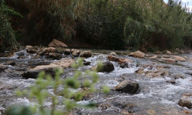 سلطات الاحتلال تعلن عن 