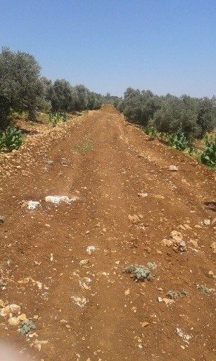 الاحتلال الاسرائيلي يقوم بأعمال تجريف بأراض في قرية ظهر المالح شمال يعبد