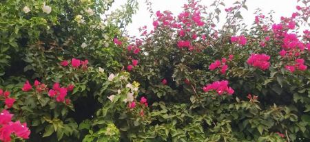 حالة الطقس لهذا اليوم