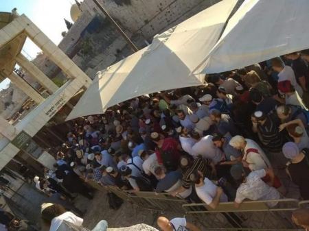 مئات المستوطنين يقتحمون القدس القديمة