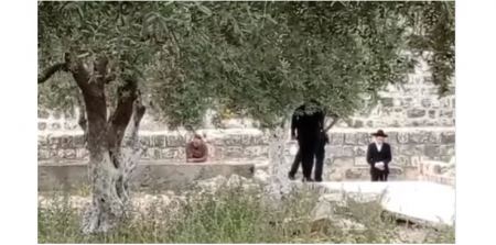 مستوطنون يقتحمون باحات الاقصى