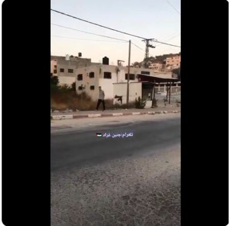 جنين : اشتباك مسلح مع قوات الاحتلال التي اقتحمت المدينة ( فيديو )