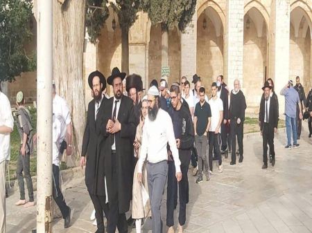 مستوطنون يقتحمون باحات المسجد الاقصى