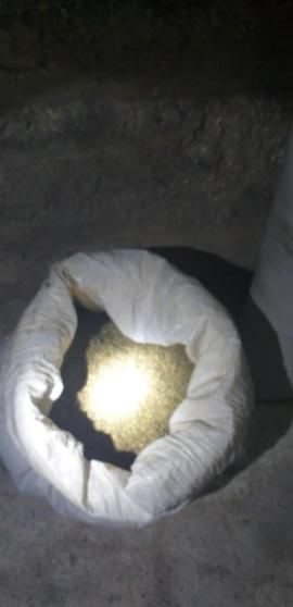 الاجهزة الامنية الفلسطينية تضبط كمية من المخدرات ومبلغ مالي كبير في القدس