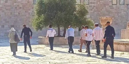 مستوطنون يقتحمون باحات الاقصى
