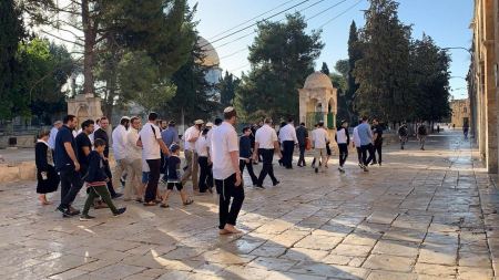 مستوطنون يقتحمون باحات المسجد الاقصى