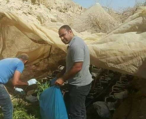 ضبط 1000 شتلة ماريغوانا في أريحا
