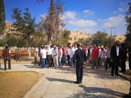 بحماية قوات الاحتلال ... المستوطنون يجددون اقتحاماتهم لباحات الاقصى