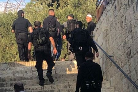 الاحتلال يعتقل 3 شبان من العيسوية