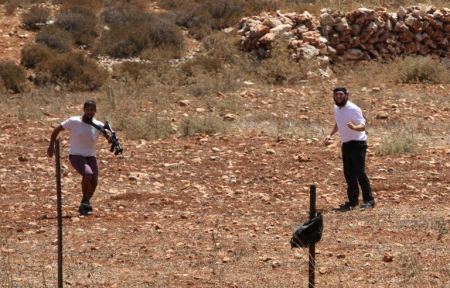 يعبد ... مستوطنون يهاجمون قاطفي الزيتون 