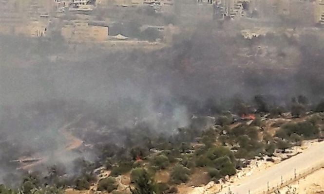 مستوطنون يضرمون النار بمئات اشجار الزيتون غرب رام الله
