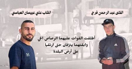 شهيدان في سلوان