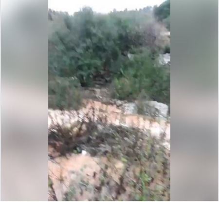 برطعة ... يوم شتوي بامتياز 