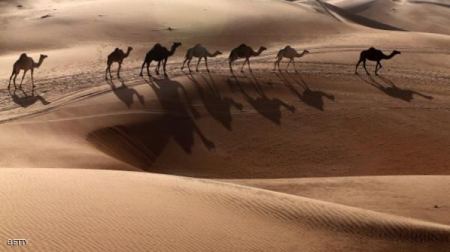 جوجل تستكشف الصحراء العربية على ظهر جمل