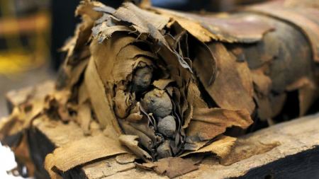 صور .... مومياء مصرية عمرها أكثر من 2500 عام يفتح تابوتها علماء في شيكاغو