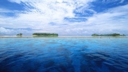 العلماء يفسرون لغز « الموت الكبير »