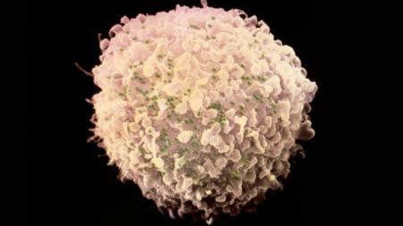 تكنولوجيا التعديل الجيني تستطيع قهر الايدز 