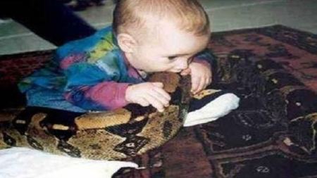 طفل من الجزائر عمره عامان يعض ثعبان من رأسه