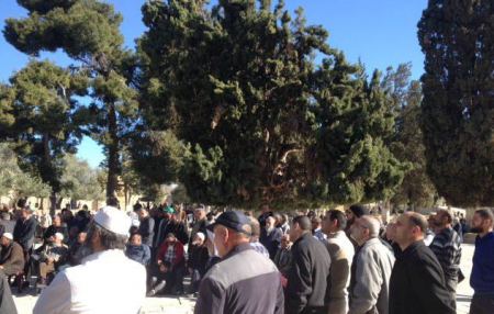 مرابطون في القدس يحبطون محاولة اقتحام المسجد الاقصى بعيد الفصح