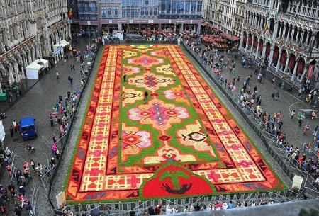 سجادة عملاقة من الزهور تزين ميدان « غراند بالاس » في بروكسيل