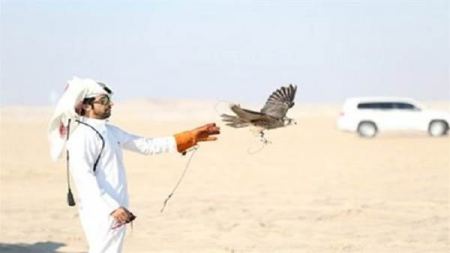 أنباء عن اختطاف أمير قطري كان في رحلة صيد داخل صحراء النجف بالعراق