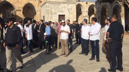 مجموعات من المستوطنين تقتحم باحات الاقصى صباح اليوم