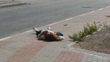شهيدة على حاجز زعترة جنوب نابلس