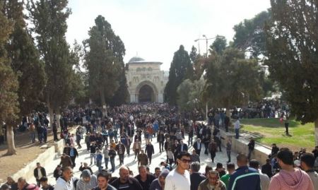 الاف المصلين يؤدون صلاة الجمعة في الاقصى 