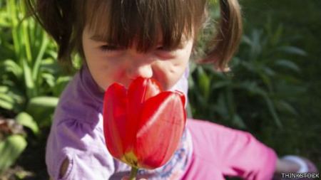 انف الانسان يستطيع ان يميز تيريليون رائحة