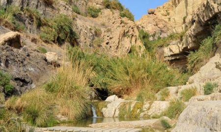 العثور على جثة سائحة بريطانية قرب عين جدي