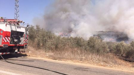 حريق هائل بالقرب من ام الريحان يلتهم اشجار الزيتون