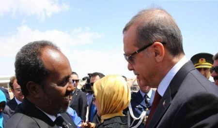 اسباب جولة اردوغان الافريقية