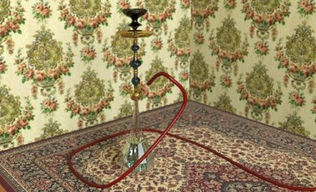 كأس العالم في الارجيلة يبدأ من مصر !!