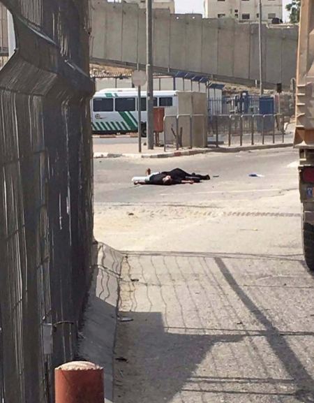 فتاة وشقيقها شهيدان على حاجز قلنديا بنيران الاحتلال 