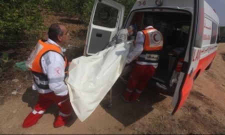 شاب من الخليل يقتل والدته على خلاف مالي